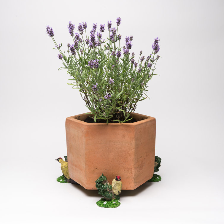 Jardinopia Planter Feet Wayfair Canada